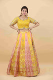 Yellow Banarsi Silk Lehenga Choli with Rani Dupatta - House of Surya
