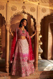 Raw Silk Bridal Lehenga with Resham Zardozi Work - House of Surya