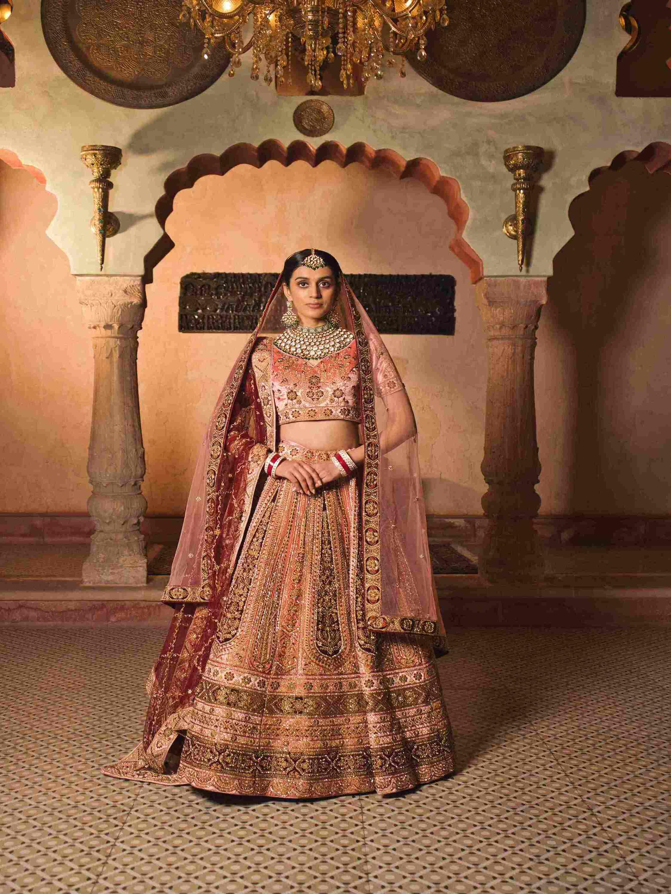 Velvet Bridal Lehenga with Zari, Zarkan & Cutdana Work - House of Surya