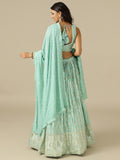 Ice Blue Chikankari Lehenga Choli with Matching Dupatta - House of Surya