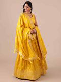Yellow Chikankari Lehenga Choli With Matching Dupatta - House of Surya