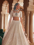 Designer Bridal Lehenga With Pott Zarkan Sequence Detailing Embroidery - Riwaaz