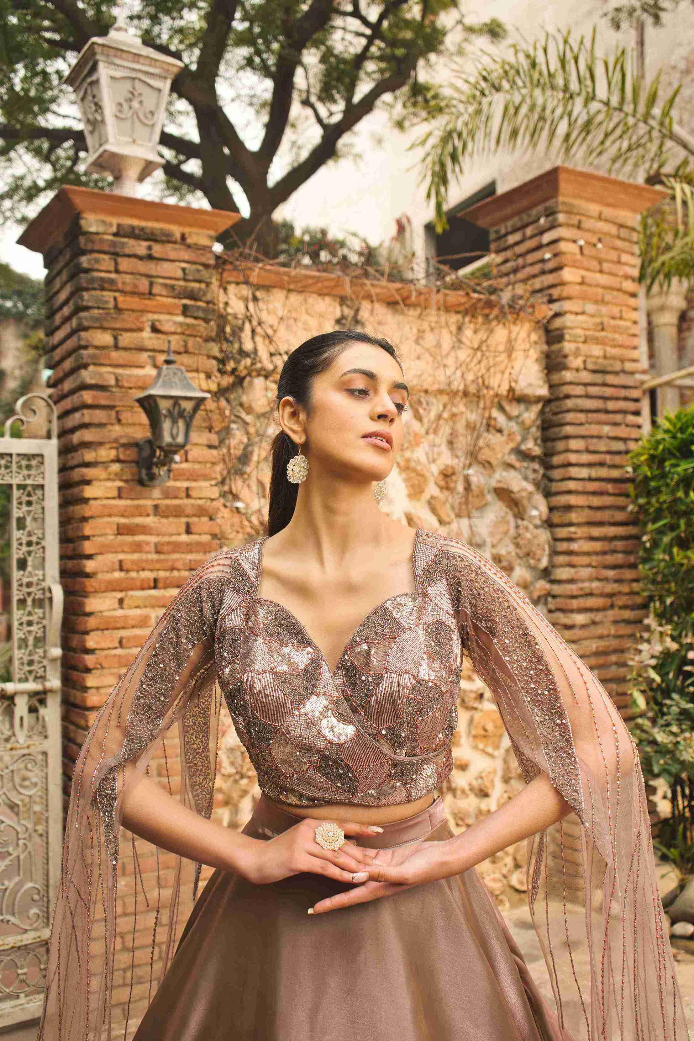 Chikoo Color Lehenga Choli – House of Surya