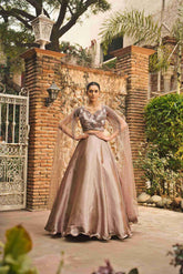 Chikoo Color Lehenga Choli – House of Surya