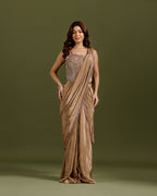 Chikoo Premium Drape Saree with Hand Work - House of Surya