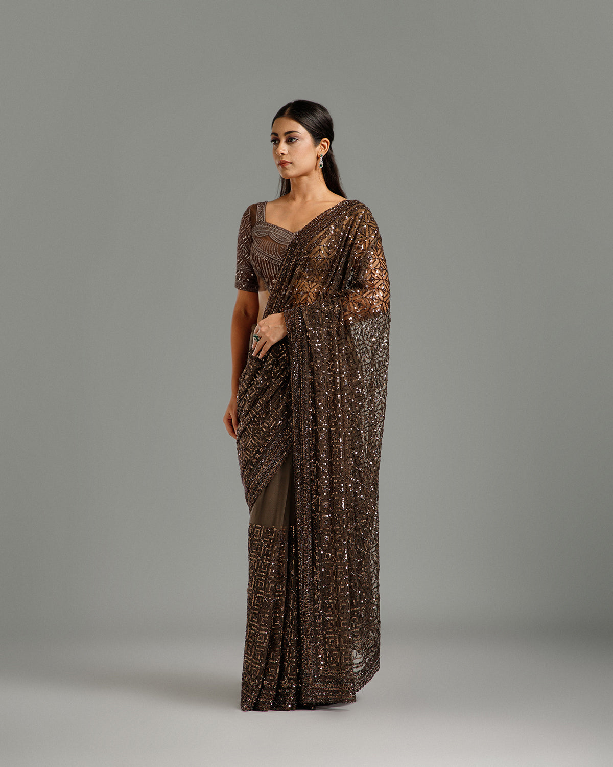 Brown Net Saree with Beads, Nulki & Sequin Work