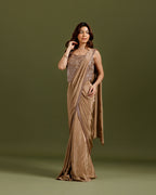 Chikoo Premium Drape Saree with Hand Work - House of Surya