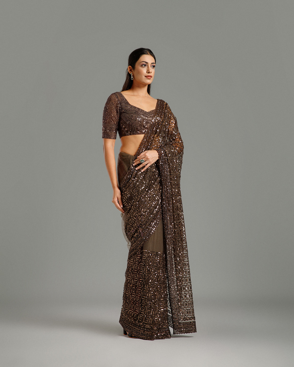 Brown Net Saree with Beads, Nulki & Sequin Work