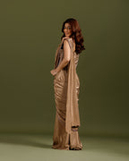 Chikoo Premium Drape Saree with Hand Work - House of Surya