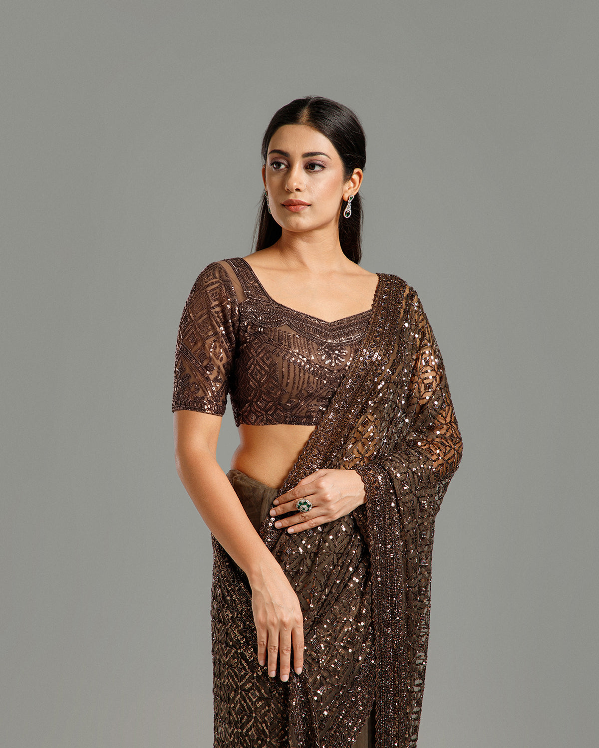Brown Net Saree with Beads, Nulki & Sequin Work