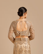 Chiku Net Saree with Nulki & Sequin Work