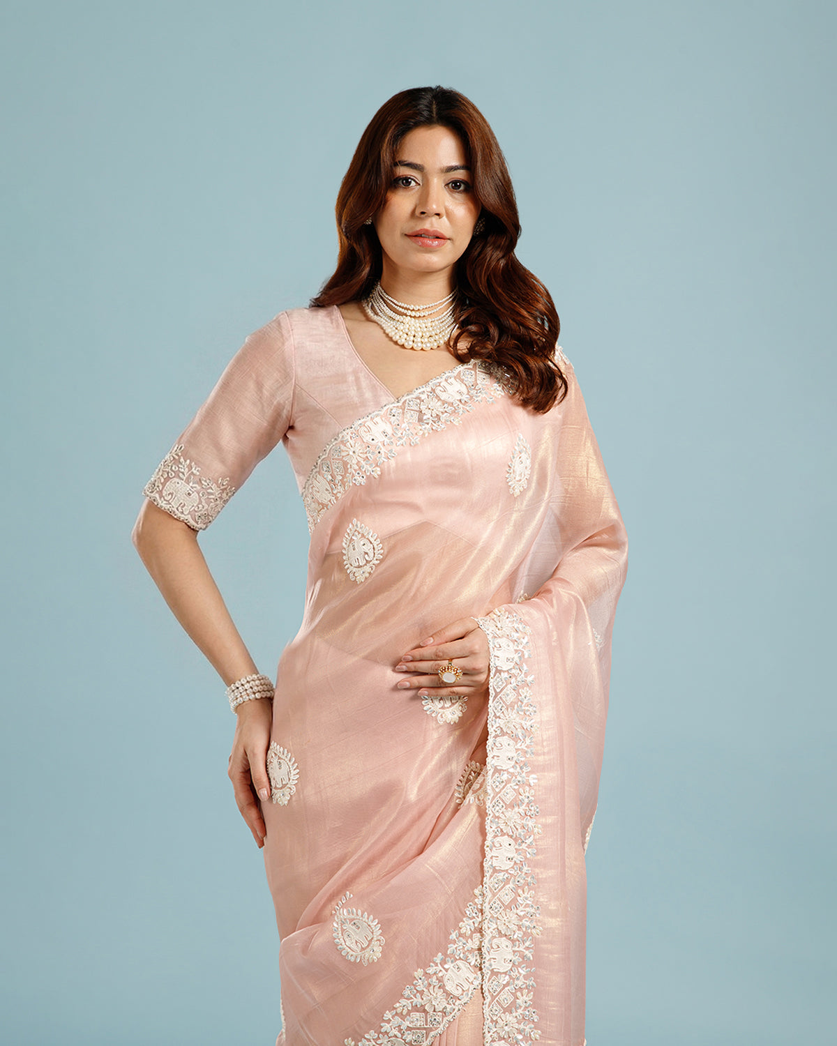 Light Pink Crush Tissue Saree with Resham, Sequence & Bead Work - House of Surya