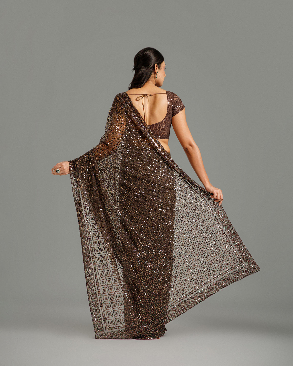 Brown Net Saree with Beads, Nulki & Sequin Work