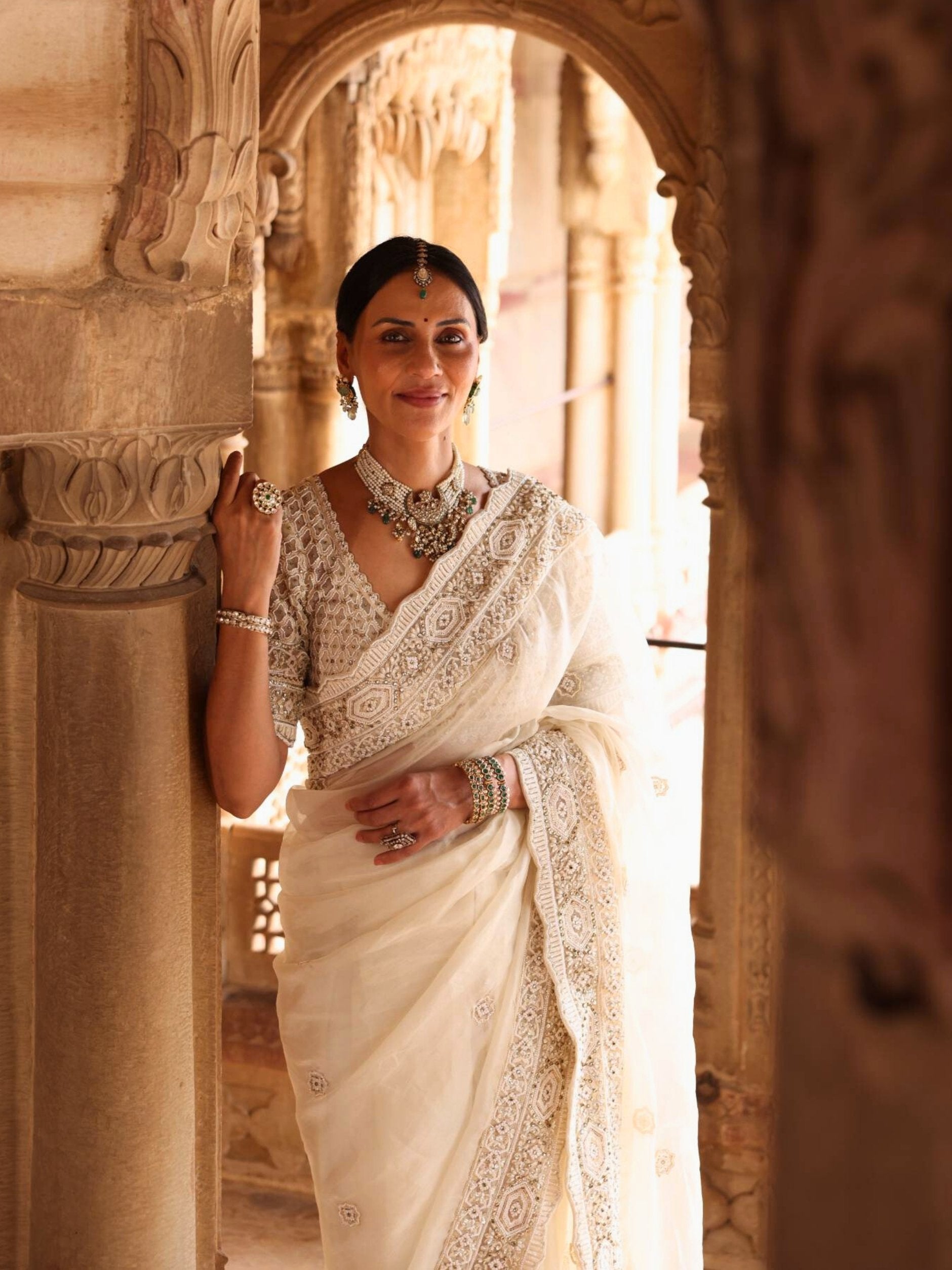 Designer Saree With Pott Cut Dana Detailing Embroidery - Riwaaz - House of Surya