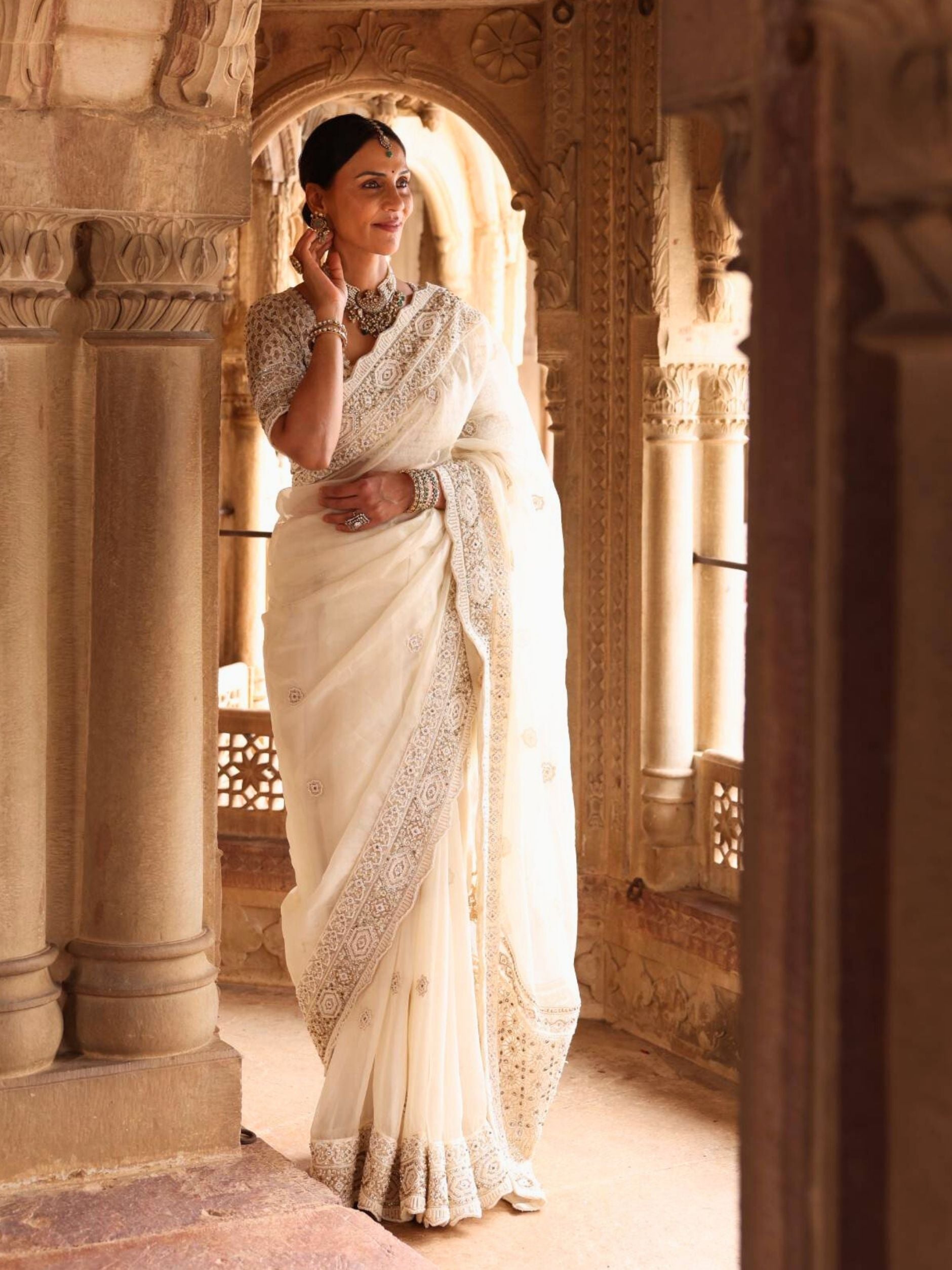 Designer Saree With Pott Cut Dana Detailing Embroidery - Riwaaz - House of Surya
