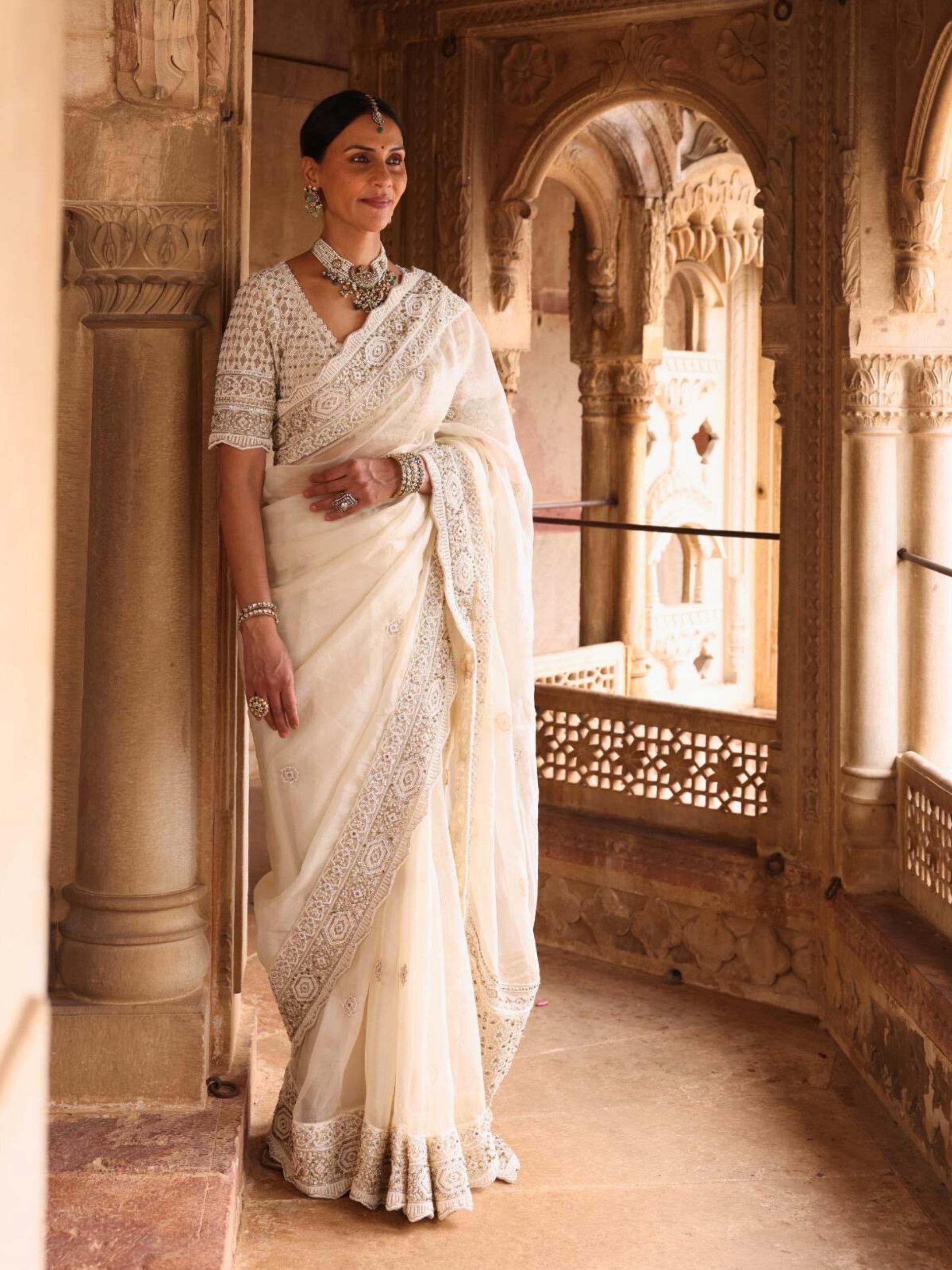 Designer Saree With Pott Cut Dana Detailing Embroidery - Riwaaz - House of Surya