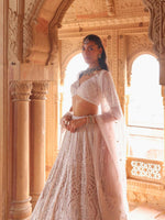 Designer Lehenga With Zarkan Crystle Pott Sequence Detailing Embroidery - Riwaaz - House of Surya