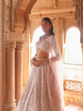 Designer Lehenga With Zarkan Crystle Pott Sequence Detailing Embroidery - Riwaaz