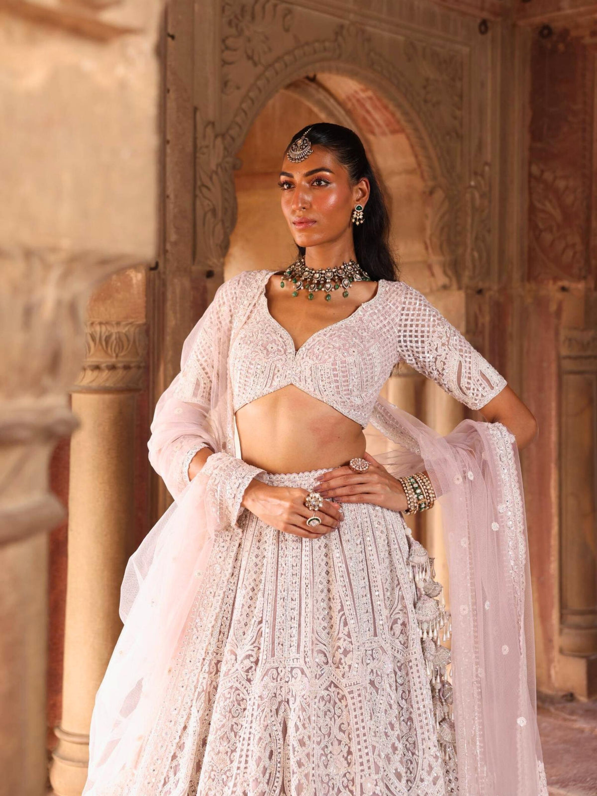 Designer Lehenga With Zarkan Crystle Pott Sequence Detailing Embroidery - Riwaaz