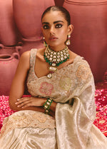 Saree With Zardozi Detailing – ANTARA - House of Surya