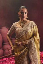 Saree With Zardozi Detailing – ANTARA - House of Surya