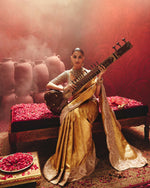 Saree With Zardozi Detailing – ANTARA - House of Surya