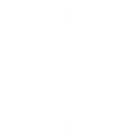 Vision